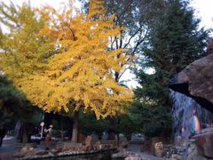 -辽宁大学(崇山校区)
