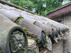 -重庆市江北嘴中央商务区中央公园