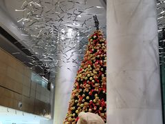 -石家庄万象天成假日酒店