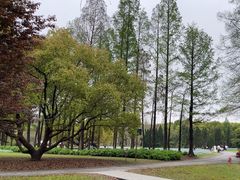 -上海滨江森林公园