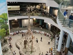 -辽宁古生物博物馆