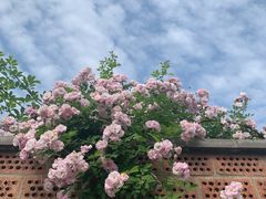 -凤翔温泉·丰泽园餐饮部