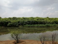 -丁香湖公园