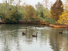 -溱湖国家湿地公园