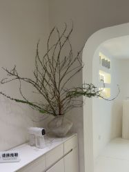 -安那般那皮肤年轻化ANAPANA