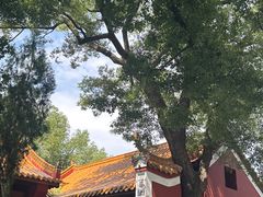 -南岳衡山风景名胜区