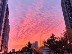 -星海广场