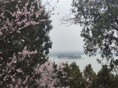 -颐和园