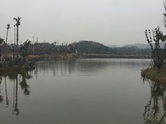 -枫香湖儿童公园