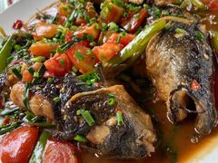 剑骨鱼啤酒炖-生态苑农庄(十里画廊遇龙河店)