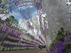 -云漫湖生态度假公园