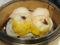 -糖朝(尖沙咀店)