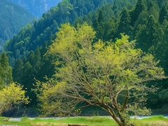 -上坦村