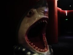 -中影星美国际影城(西乡天虹店)