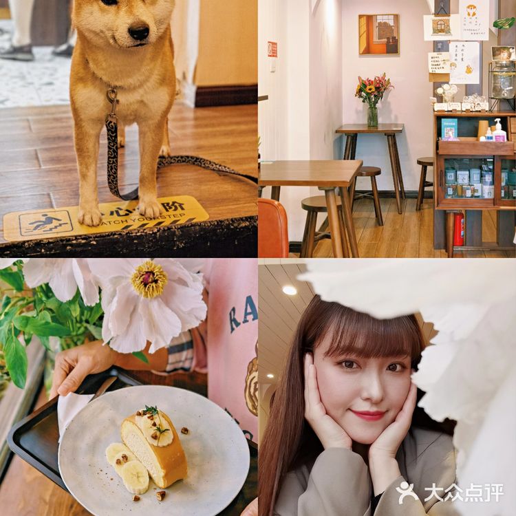有被这家甜品🍰店的🐶🐶可爱到‼️‼️‼️