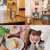 有被这家甜品🍰店的🐶🐶可爱到‼️‼️‼️