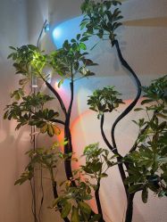 -禾壹净·素颜美问题肌肤修护中心