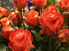 -爱尚幸福鲜花(上地实体店)