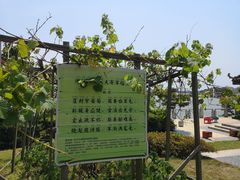 -同里湖度假村(二期店)