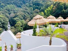 -龙岩森林水乡景区