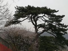 -妙峰山风景名胜区