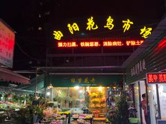 -曲阳花鸟市场(曲阳路店)