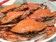 -金沙滩海鲜餐厅·海肠捞饭·手工水饺(梅江龙水园店)