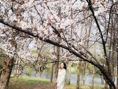 -贵阳市花溪国家城市湿地公园