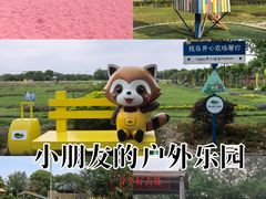 -苏州太湖西山岛开心农场