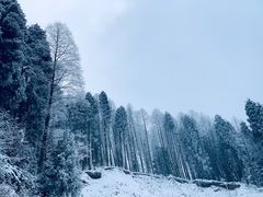 -太阳湾风景区