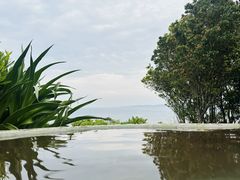 -滨千鸟之汤 海舟