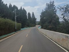 -长虫山生态公园风景林