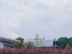 -长兴对江渡客运站