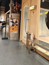 -G-STEPS舞蹈工作室