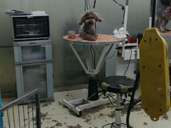 -乐宠宠物店(世纪金源店)