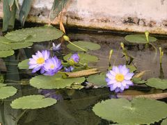 -国家植物园南园