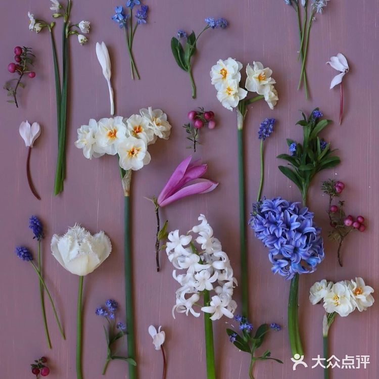 岁月如花，笑看花开，静赏花落是人生的一种极致