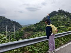 -杨家堂村