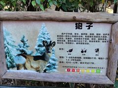 -深圳野生动物园