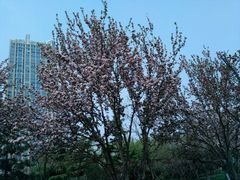 android_upload_pic-唐山抗震纪念碑广场