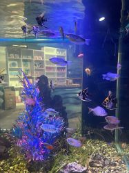 -酷嗒动物文化乐园(cutezoo西溪乐天城店)