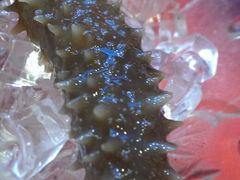 android_upload_pic-文儒九号·闽菜馆(三坊七巷店)