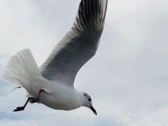 -海埂大坝