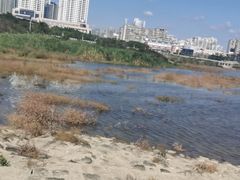 -龙江公园