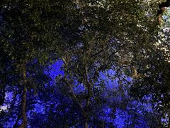 -印象西湖·最忆是杭州实景演出