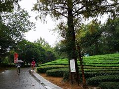 -敬亭山风景名胜区