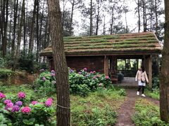 -重庆雨台山风景区