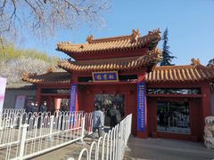 -桃花堤公园