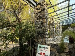 -鱼凫人家