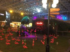 -凯德广场(学府店)